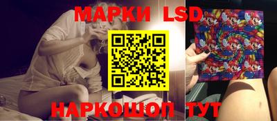 гашик Шелехов