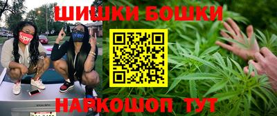 гашик Шелехов