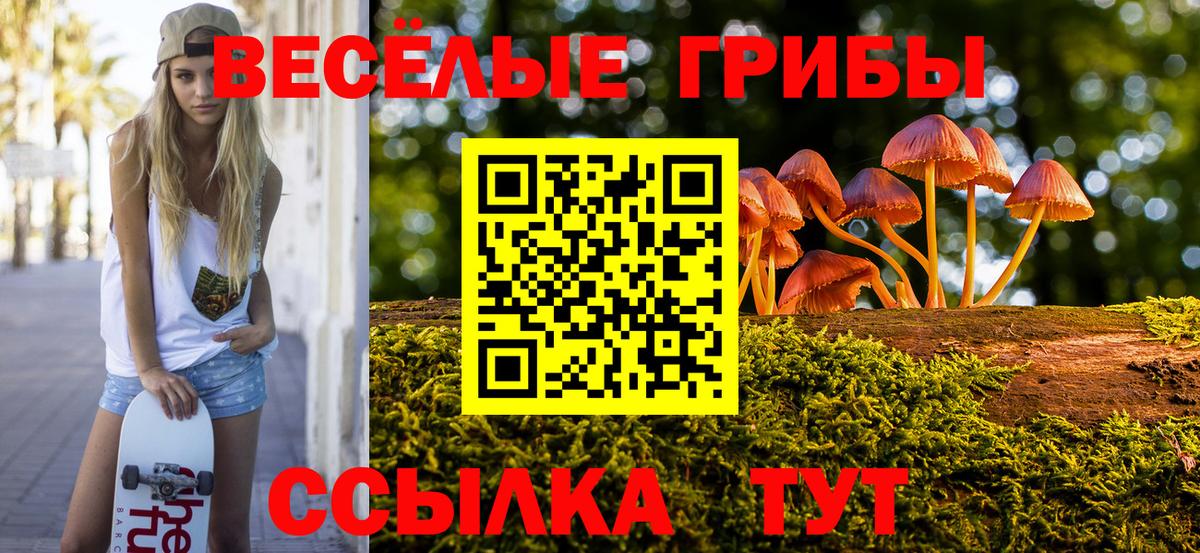 Галлюциногенные грибы прущие грибы Саров