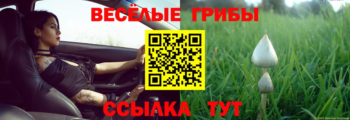 Саров  Галлюциногенные грибы Psilocybine cubensis  Вход с VPN 