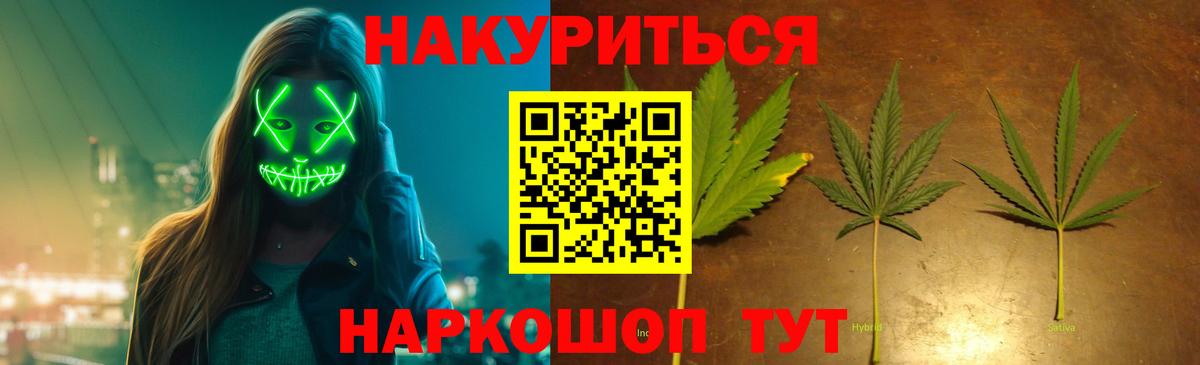 Шишки марихуана марихуана Саров
